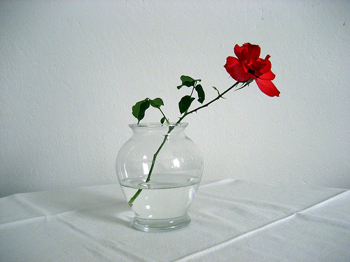 花瓶に入った一本の赤い薔薇