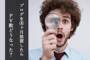 8ヶ月放置したブログのＰＶ数